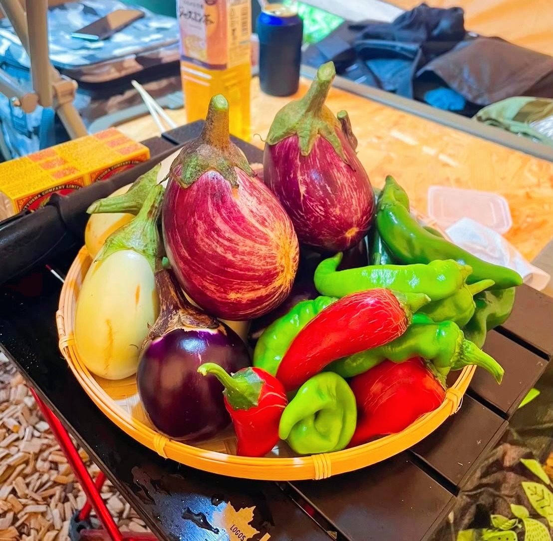 ⑶ The farm / 千葉県香取市