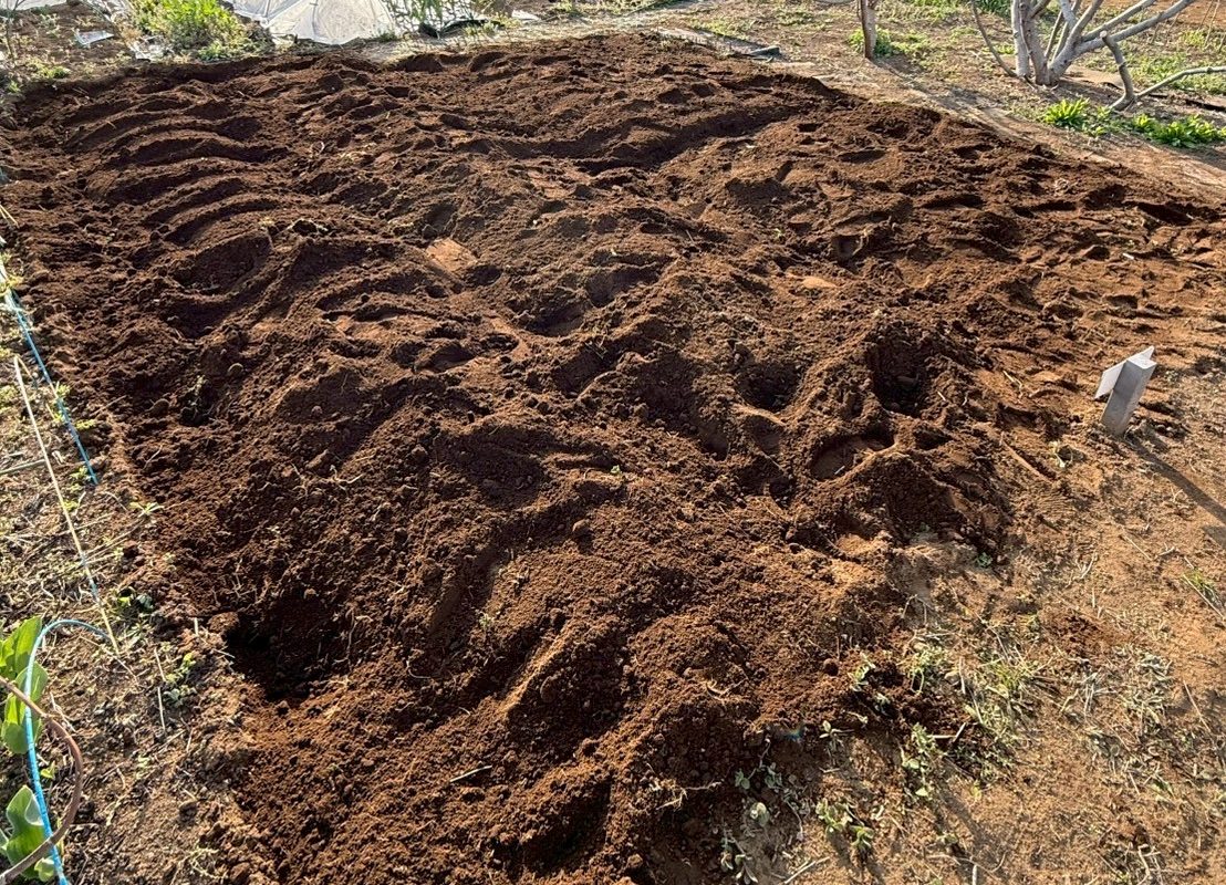 2025夏野菜づくり始動☀